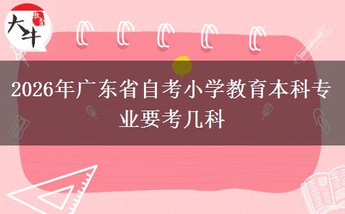2026年广东省自考小学教育本科专业要考几科