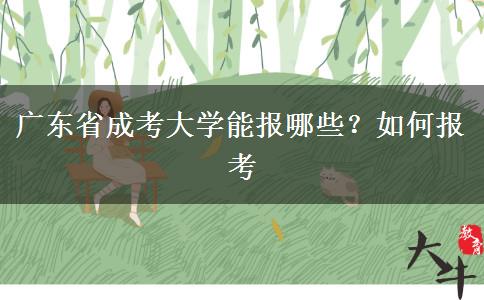 广东省成考大学能报哪些？如何报考