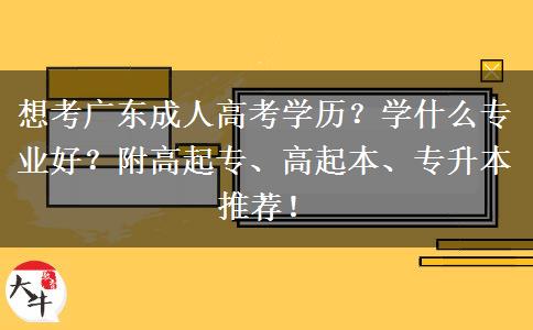 想考广东成人高考学历？学什么专业好？附高起专、高起本、专升本推荐！