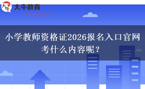 小学教师资格证2026报名入口官网 考什么内容呢？