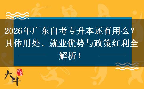 2026年广东自考专升本还有用么？具体用处、就业优势与政策红利全解析！