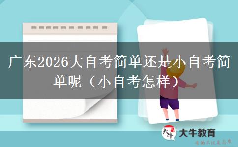 广东2026大自考简单还是小自考简单呢（小自考怎样）