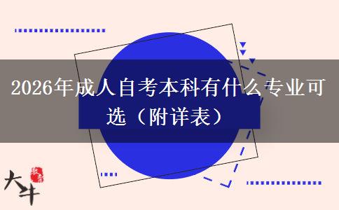 2026年成人自考本科有什么专业可选（附详表）