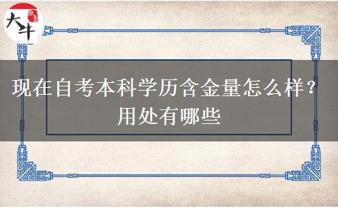 现在自考本科学历含金量怎么样？用处有哪些