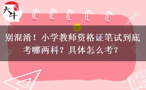 别混淆！小学教师资格证笔试到底考哪两科？具体怎么考？