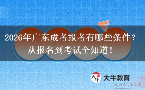 2026年广东成考报考有哪些条件？从报名到考试全知道！