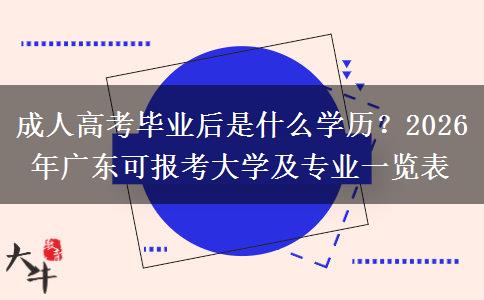 成人高考毕业后是什么学历？2026年广东可报考大学及专业一览表