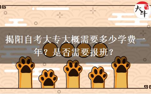 揭阳自考大专大概需要多少学费一年？是否需要报班？