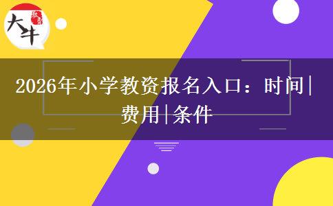2026年小学教资报名入口：时间|费用|条件