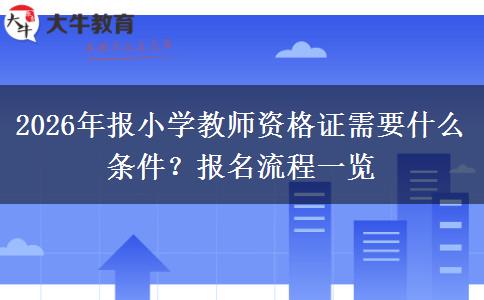 2026年报小学教师资格证需要什么条件？报名流程一览