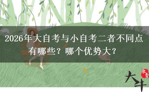 2026年大自考与小自考二者不同点有哪些？哪个优势大？