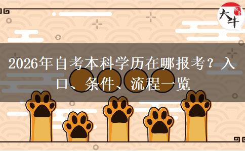2026年自考本科学历在哪报考？入口、条件、流程一览
