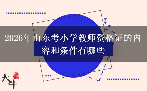 2026年山东考小学教师资格证的内容和条件有哪些