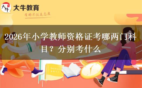 2026年小学教师资格证考哪两门科目？分别考什么