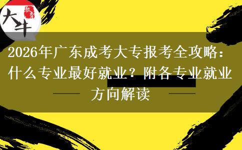 2026年广东成考大专报考全攻略：什么专业最好就业？附各专业就业方向解读