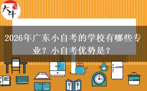2026年广东小自考的学校有哪些专业？小自考优势是？