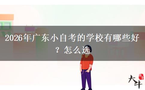 2026年广东小自考的学校有哪些好？怎么选