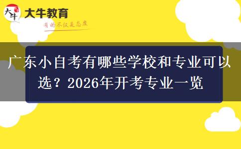 广东小自考有哪些学校和专业可以选？2026年开考专业一览