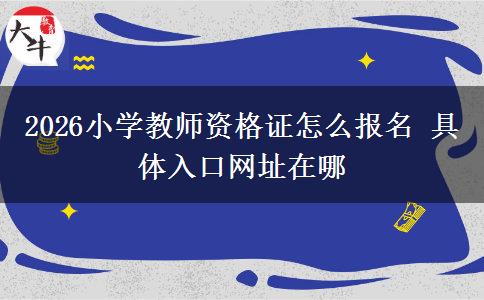 2026小学教师资格证怎么报名 具体入口网址在哪
