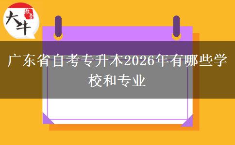 广东省自考专升本2026年有哪些学校和专业