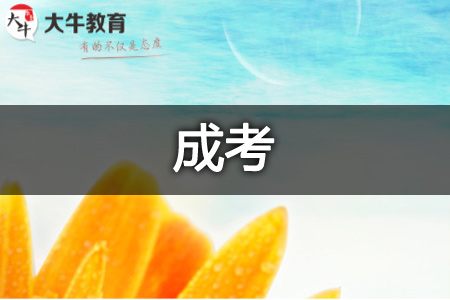 成人高考报名
