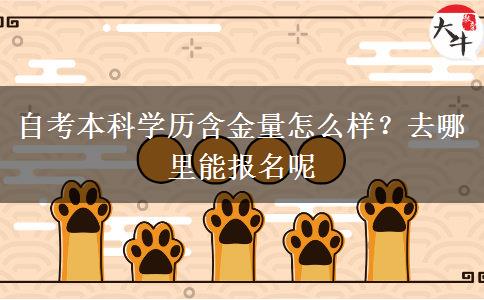 自考本科学历含金量怎么样？去哪里能报名呢