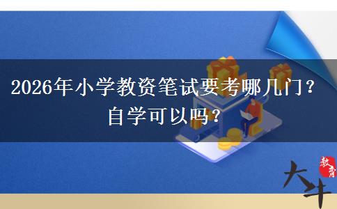 2026年小学教资笔试要考哪几门？自学可以吗？