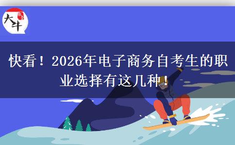 快看！2026年电子商务自考生的职业选择有这几种！