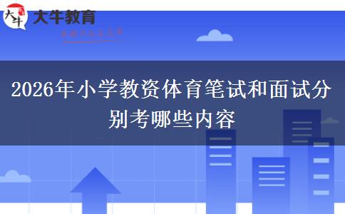 2026年小学教资体育笔试和面试分别考哪些内容