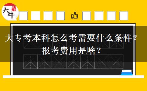 大专考本科怎么考需要什么条件？报考费用是啥？
