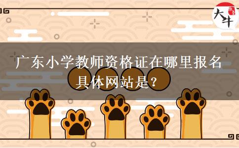 广东小学教师资格证在哪里报名 具体网站是？
