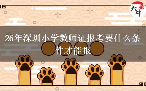 26年深圳小学教师证报考要什么条件才能报