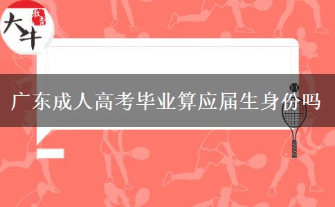 广东成人高考毕业算应届生身份吗