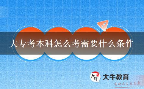 大专考本科怎么考需要什么条件