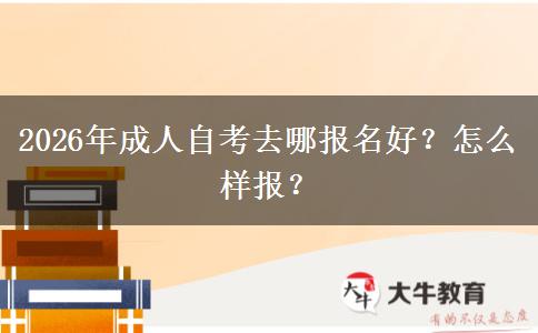 2026年成人自考去哪报名好？怎么样报？