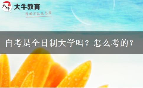 自考是全日制大学吗？怎么考的？