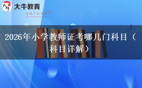 2026年小学教师证考哪几门科目（科目详解）