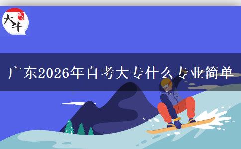广东2026年自考大专什么专业简单