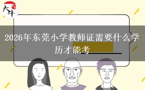 2026年东莞小学教师证需要什么学历才能考