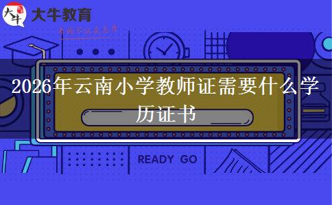 2026年云南小学教师证需要什么学历证书