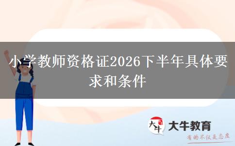 小学教师资格证2026下半年具体要求和条件