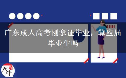广东成人高考刚拿证毕业，算应届毕业生吗