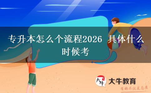 专升本怎么个流程2026 具体什么时候考