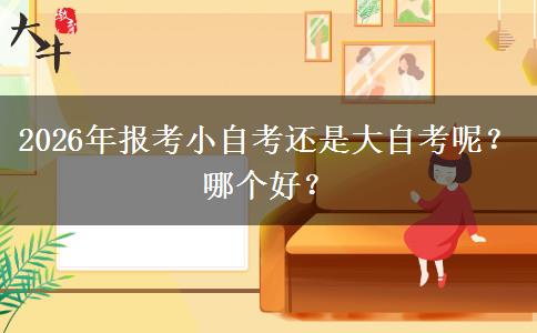 2026年报考小自考还是大自考呢？哪个好？