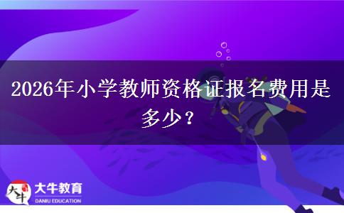 2026年小学教师资格证报名费用是多少？