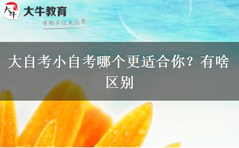 大自考小自考哪个更适合你？有啥区别