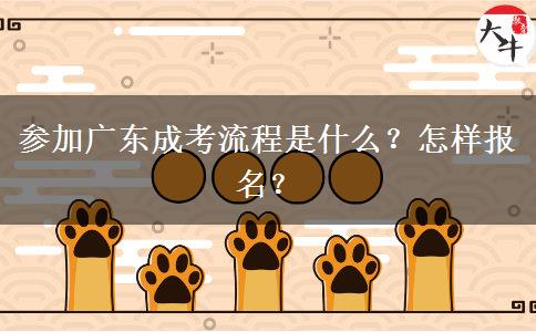 参加广东成考流程是什么？怎样报名？
