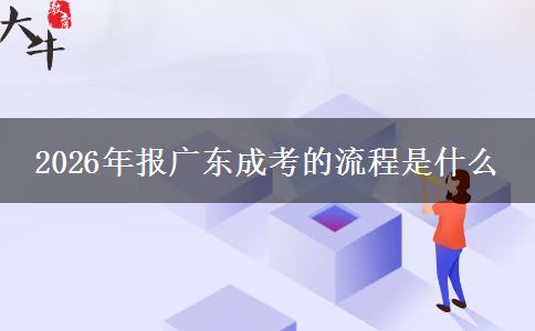 2026年报广东成考的流程是什么