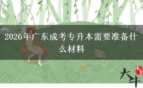 2026年广东成考专升本需要准备什么材料