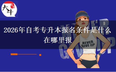 2026年自考专升本报名条件是什么 在哪里报